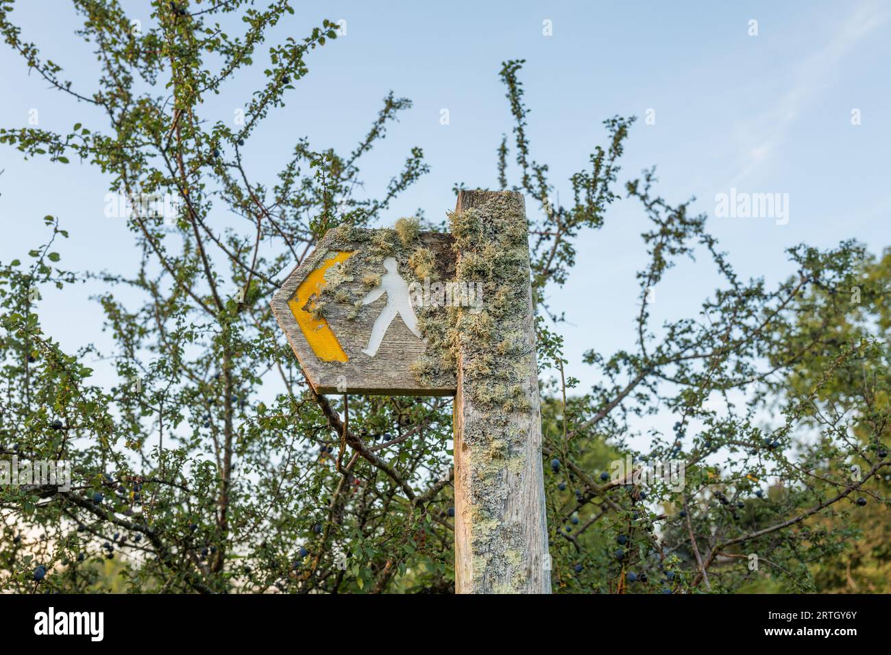 Wooden sign and post showing direction for a public footpath and covered in lichen. Stock Photo