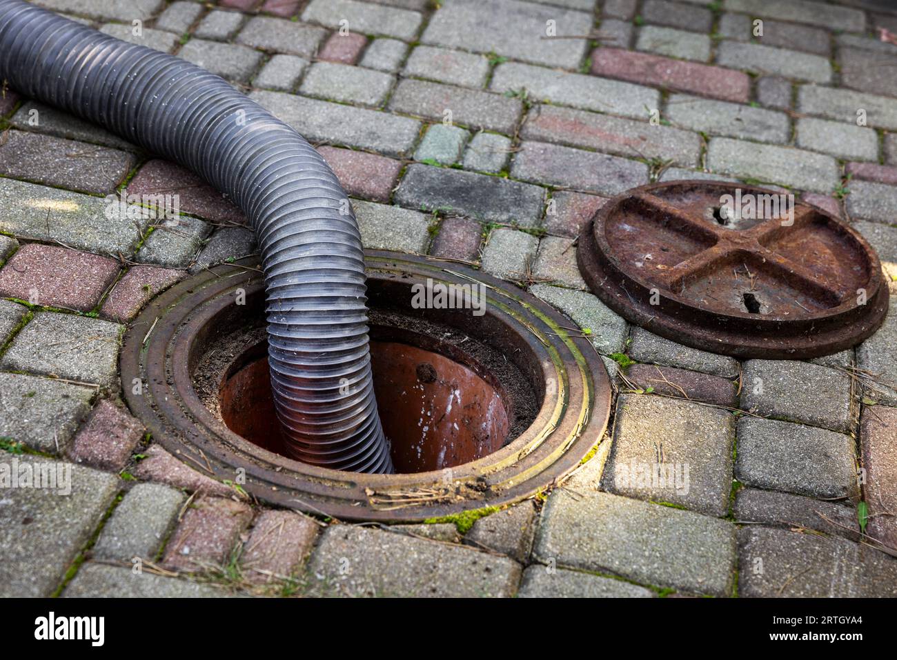 pumping out household septic tank. drain and sewage cleaning service Stock Photo