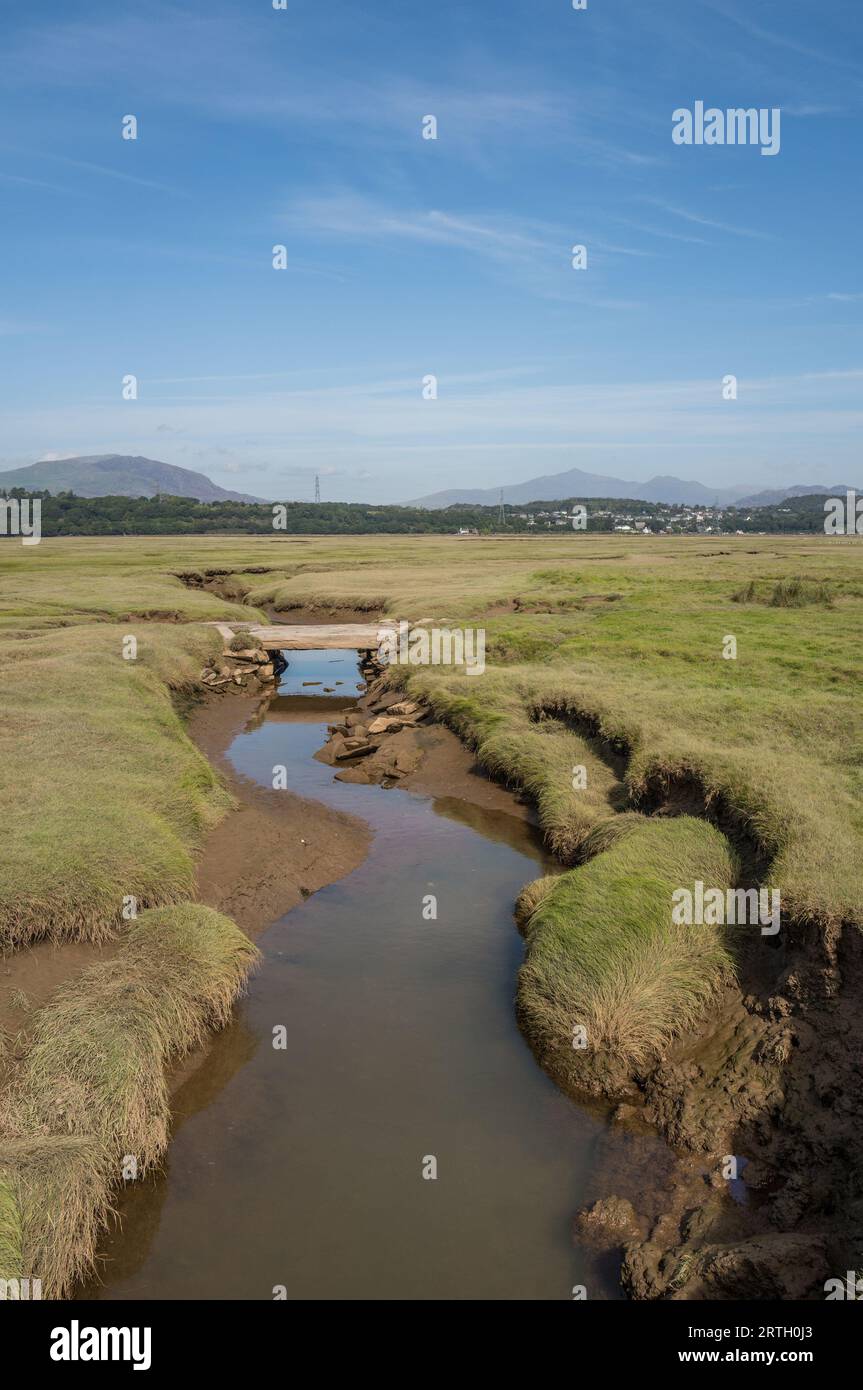 The salt marshes on the Dwyryd estuary, Ynys, Gwynedd, Wales, at low tide with stone foot bridge over the many channels. Stock Photo