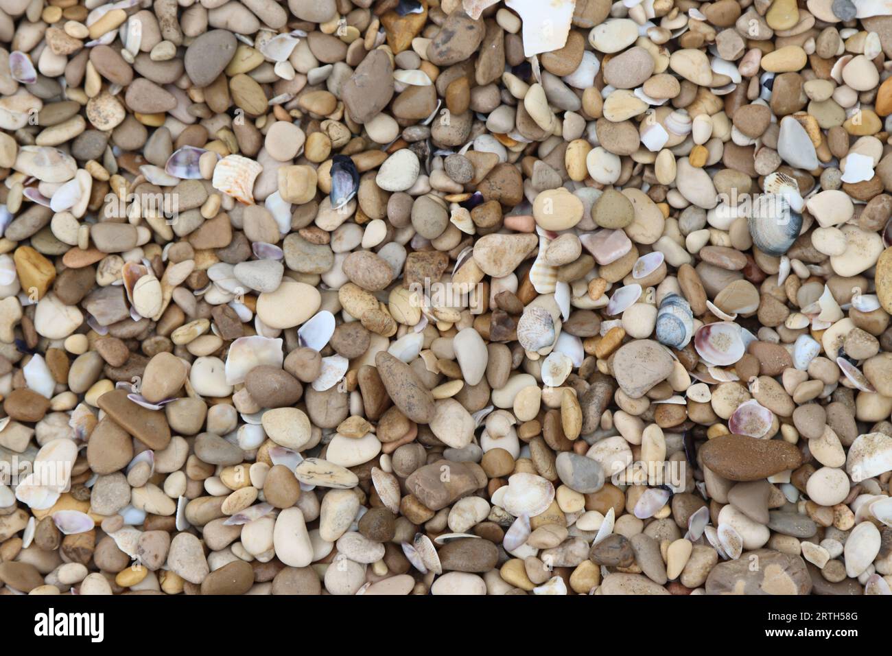 Peddles Rocks A variety of pebbles and rocks in a pile on the beach Stock Photo - Alamy