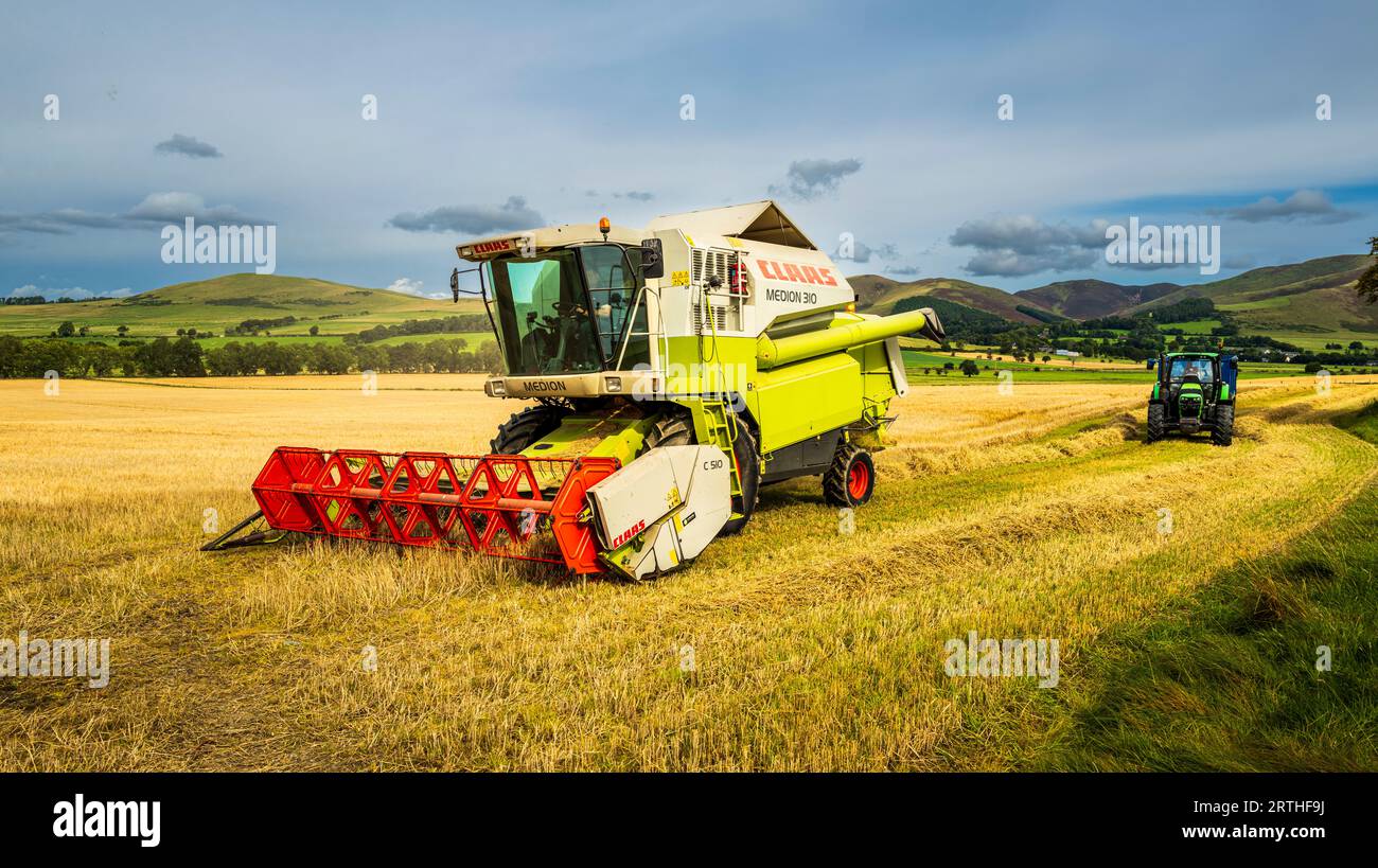 Farmer harvesting cereal crops hi-res stock photography and images - Alamy