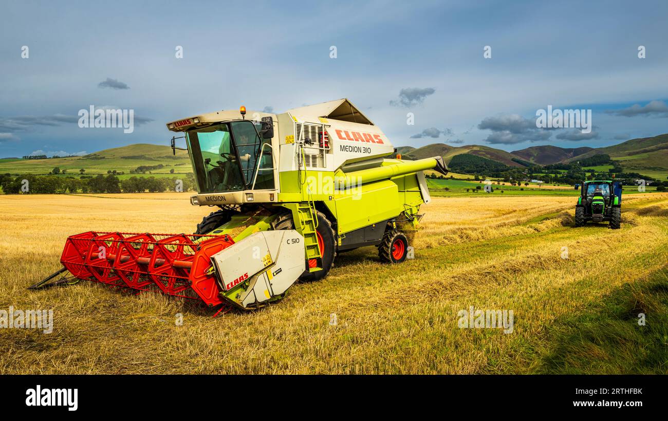 Farmer harvesting cereal crops hi-res stock photography and images - Alamy