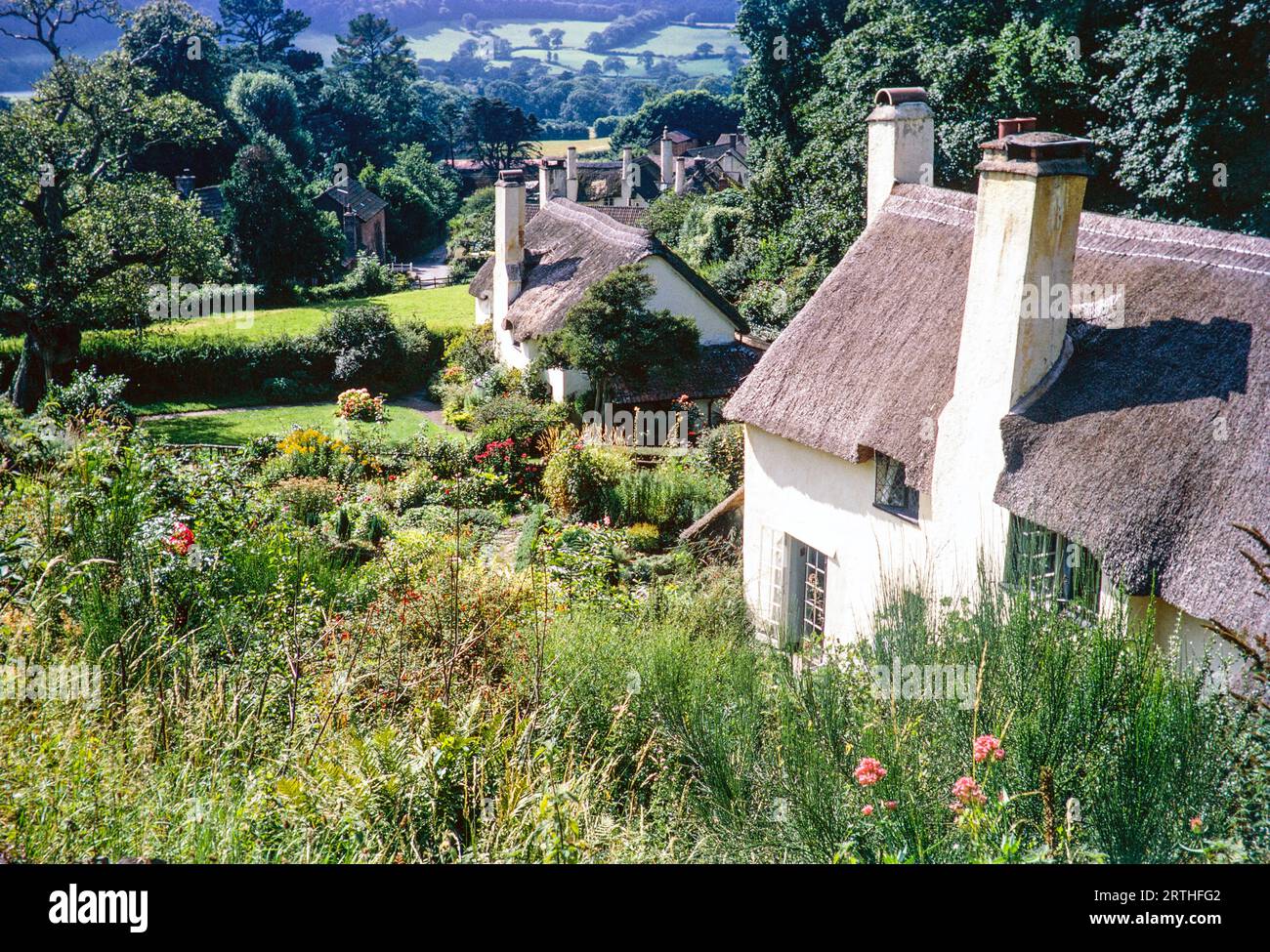 Thatched cottages in village of nSelworthy,  Somerset, England UK autumn 1968 Stock Photo