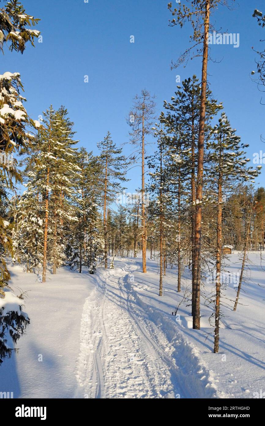 Finnish snowy landscape at the Russian border, Lentiira, Finland Stock Photo