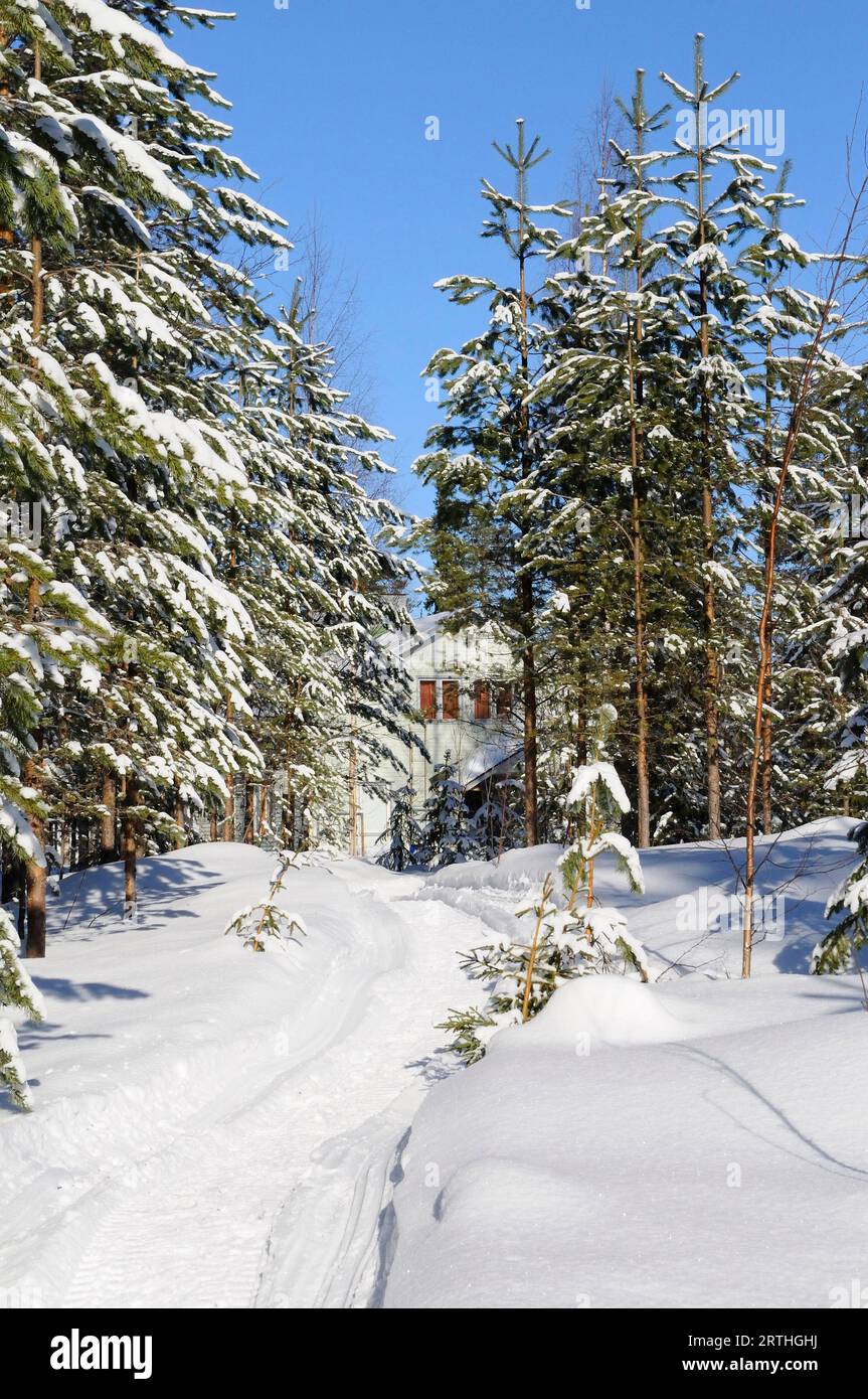 Finnish snowy landscape at the Russian border, Lentiira, Finland Stock Photo