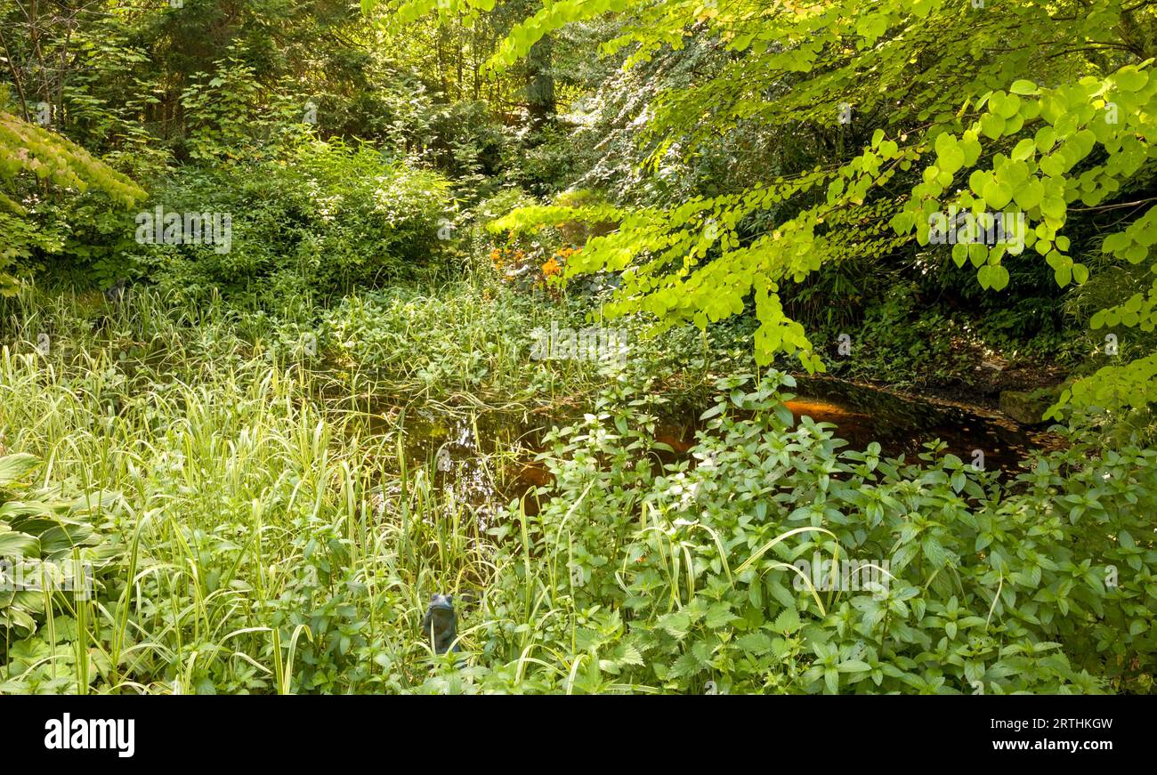 Beatrix Potter Garden with a small statue of a frog in Dunkeld