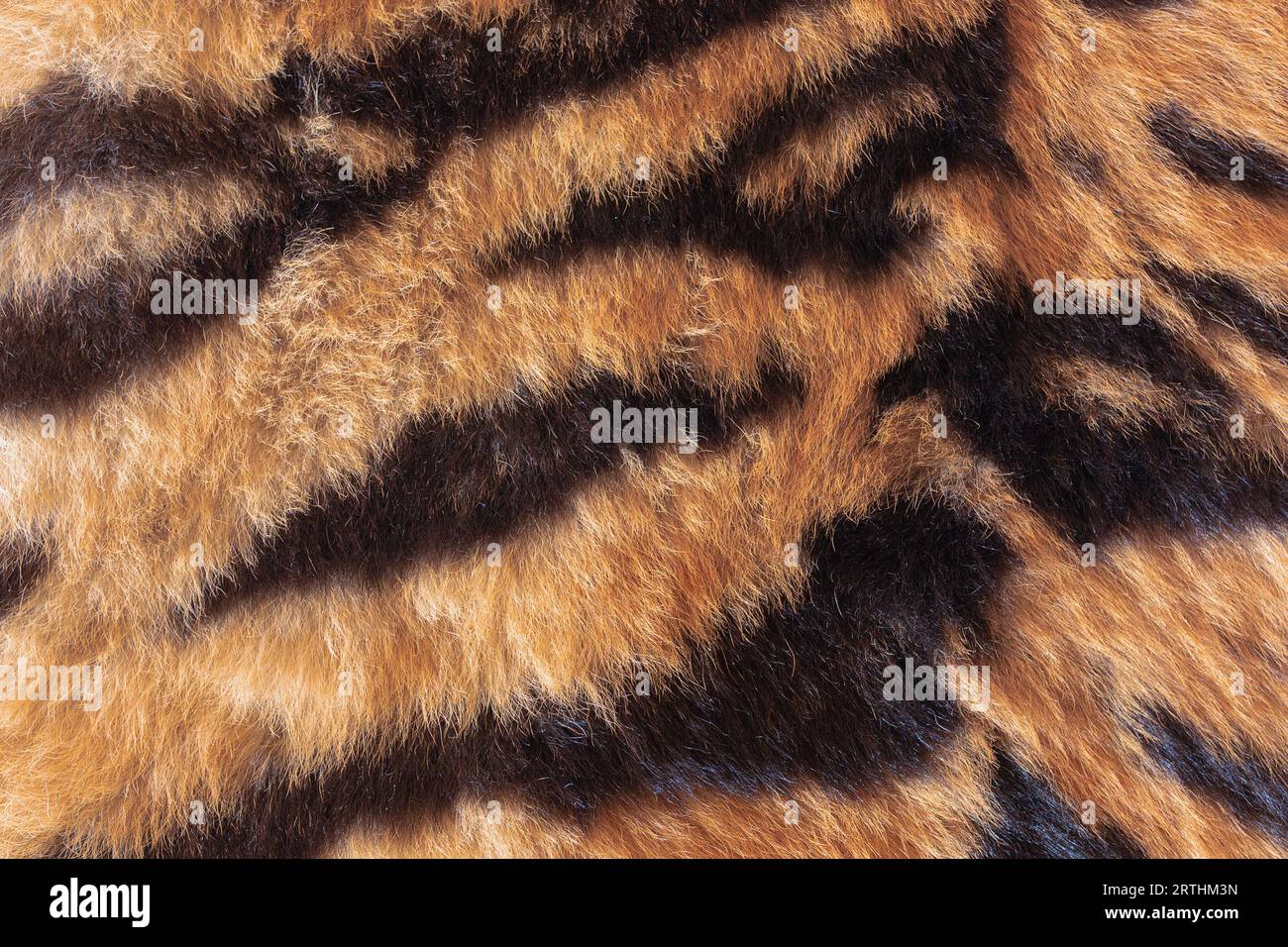 detail of real tiger fur, texture for your design Stock Photo