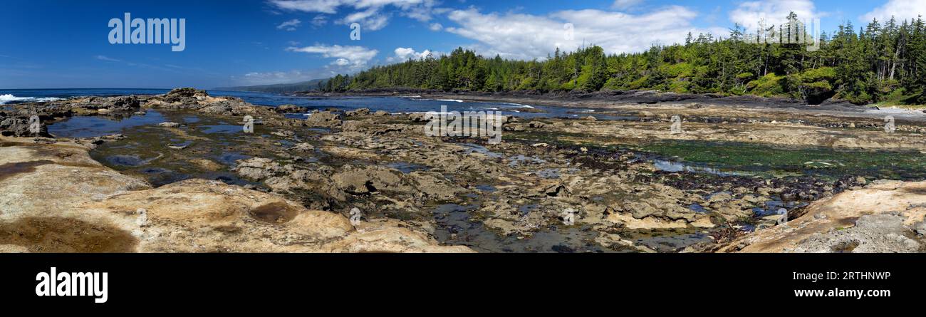 Coastal Landscape at Botanical Beach in Juan de Fuca Provincial Park on Vancouver Island, British Columbia, Canada Stock Photo