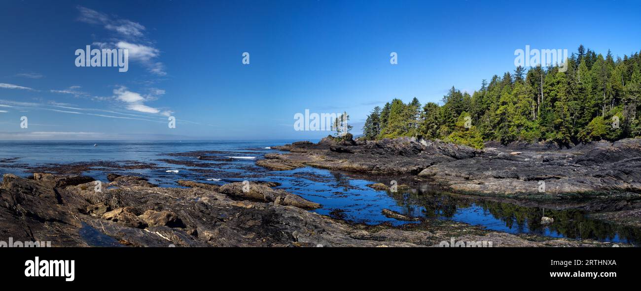 Coastal Landscape at Botanical Beach in Juan de Fuca Provincial Park on Vancouver Island, British Columbia, Canada Stock Photo