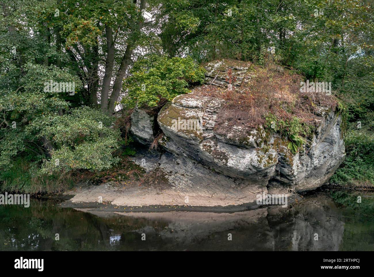 Swamp Rocks Geology Swamp rock hi-res stock photography and images - Alamy