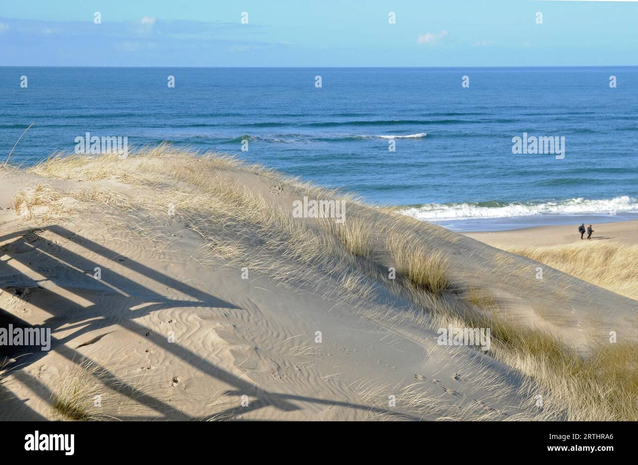 Dune on the North Sea beach Stock Photo - Alamy