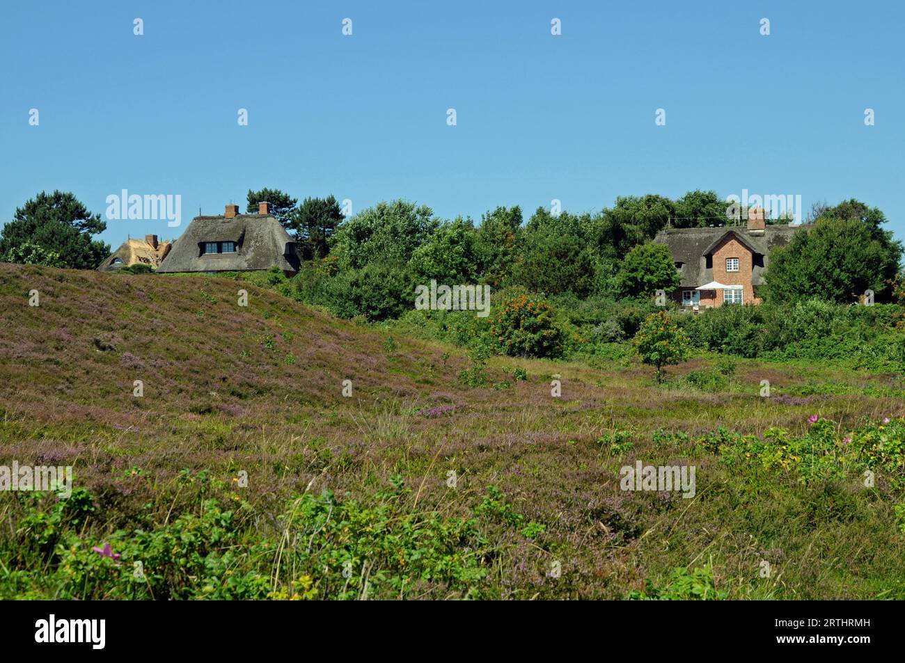 Landscape in the Braderup Heath Stock Photo