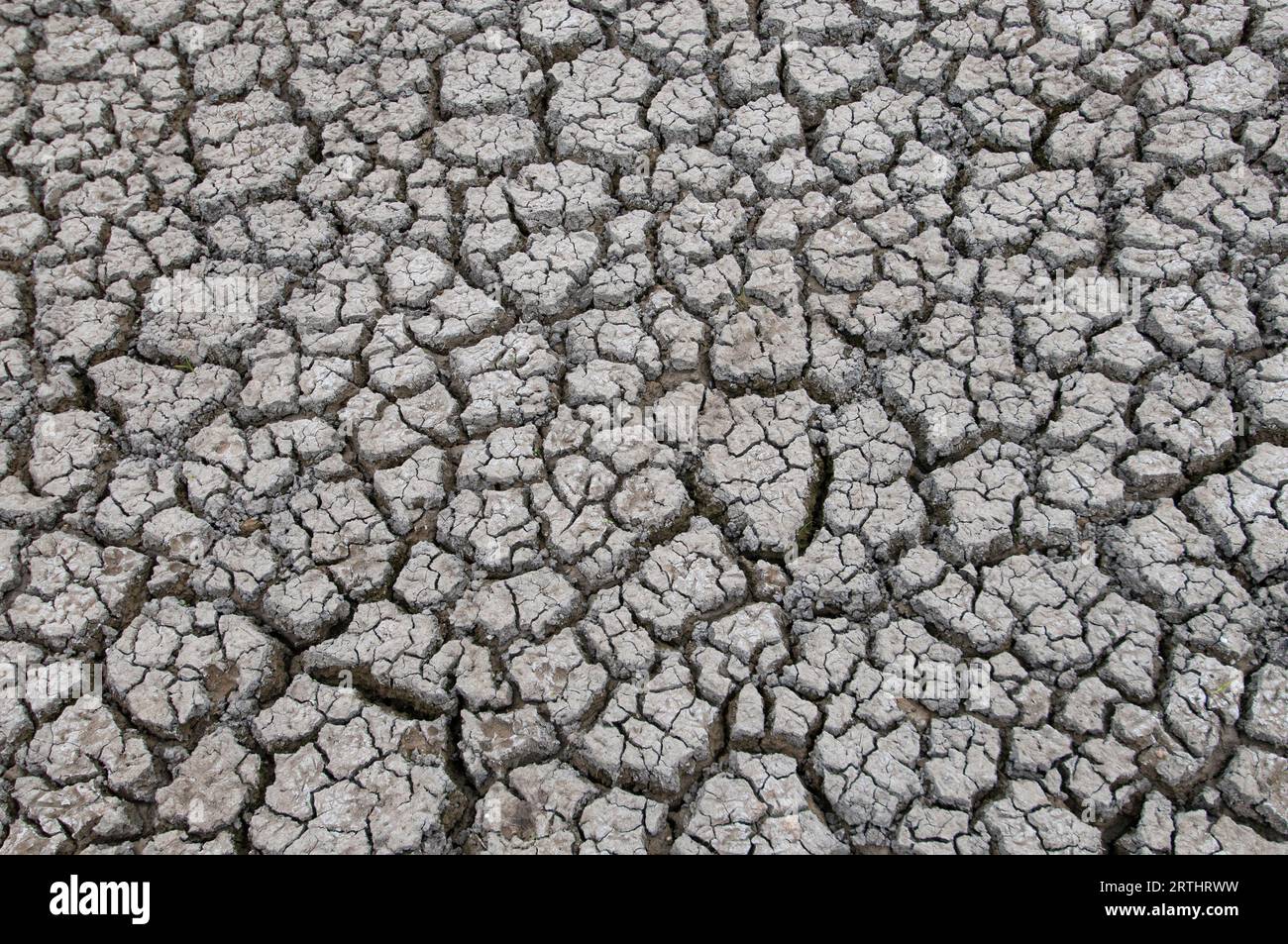 Terra spaccata a causa della siccità Stock Photo