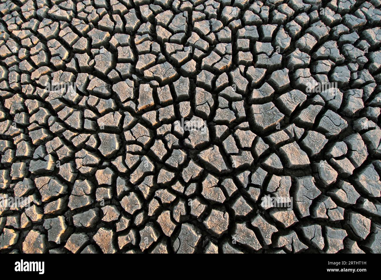 Terra spaccata a causa della siccità Stock Photo