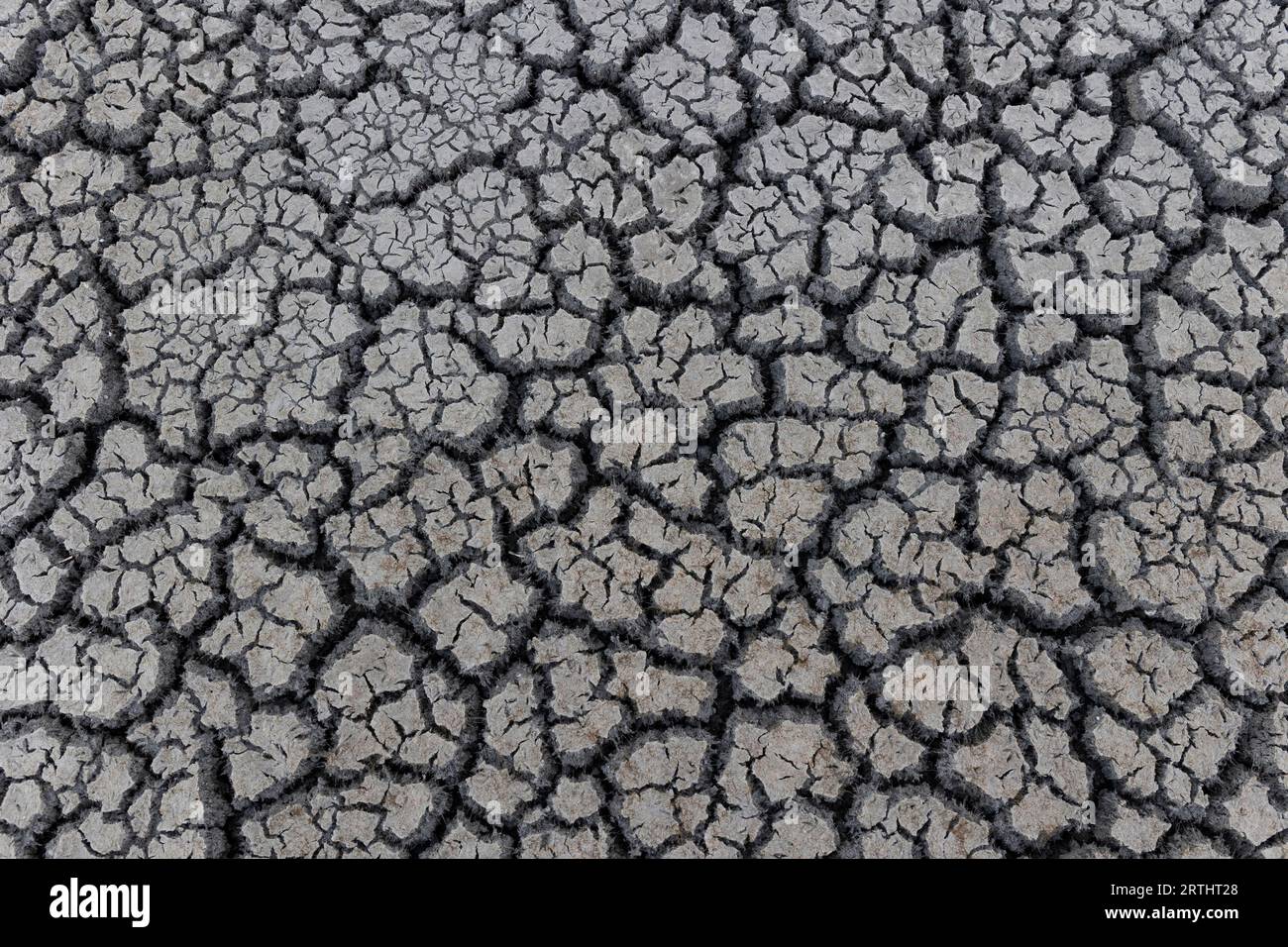 Terra spaccata a causa della siccità Stock Photo