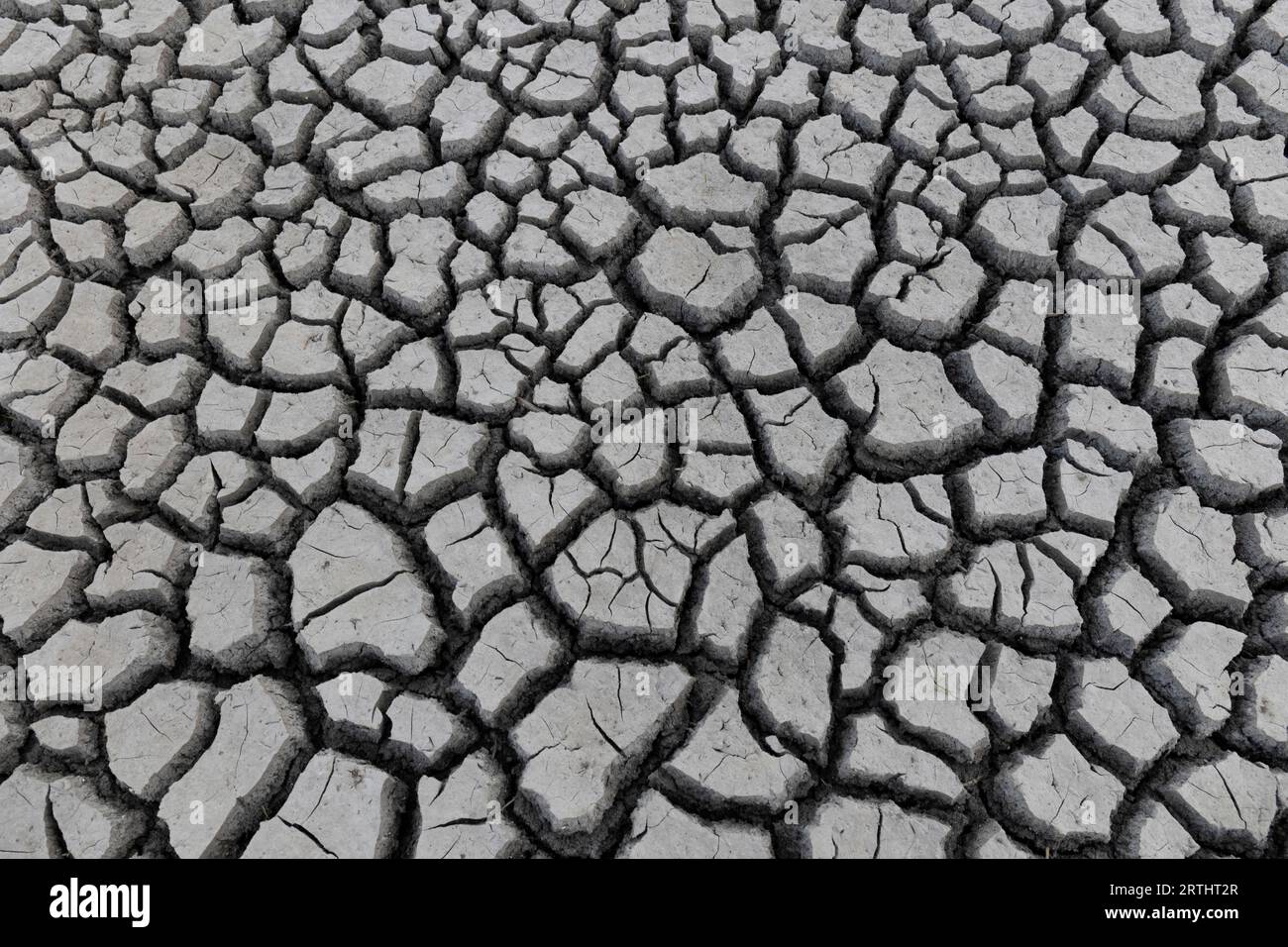 Terra spaccata a causa della siccità Stock Photo