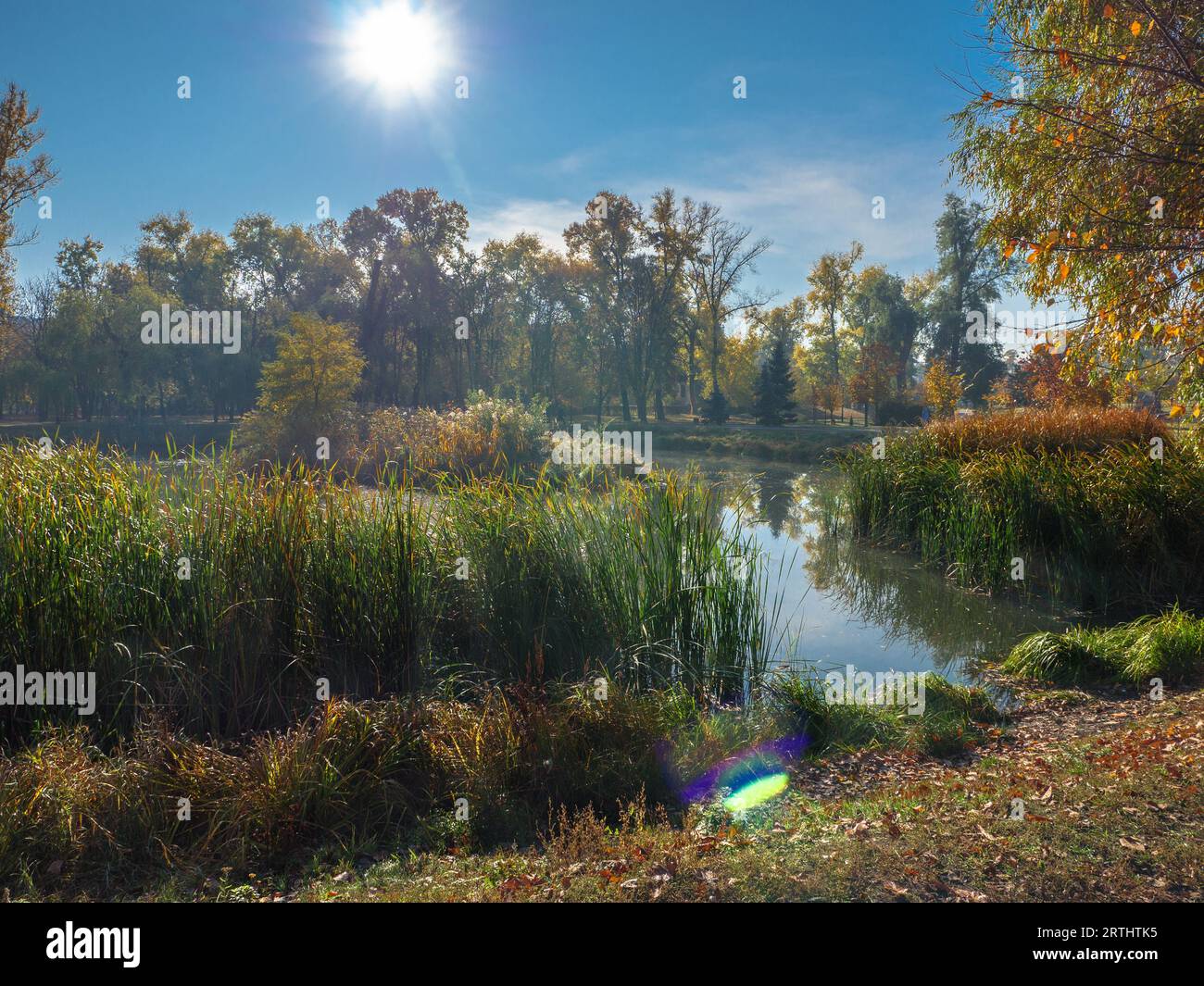 White bright sun galo shining above the city park with lake and bulrush and trees around. Rainbow above the water. Stock Photo