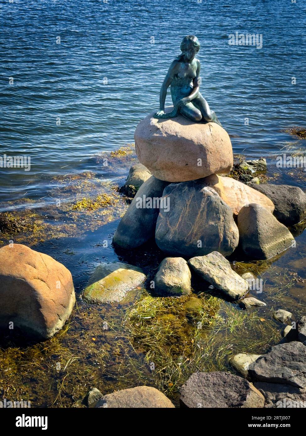 The Little Mermaid Statue Copenhagen Stock Photo - Alamy