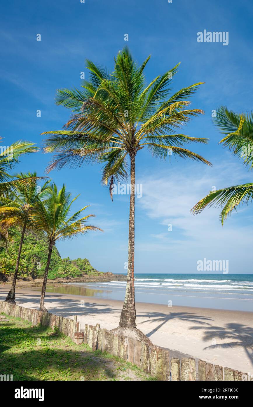 Spectacular and impressive paradise beach at the Itacare Bahia state Brazil Northeast Stock Photo
