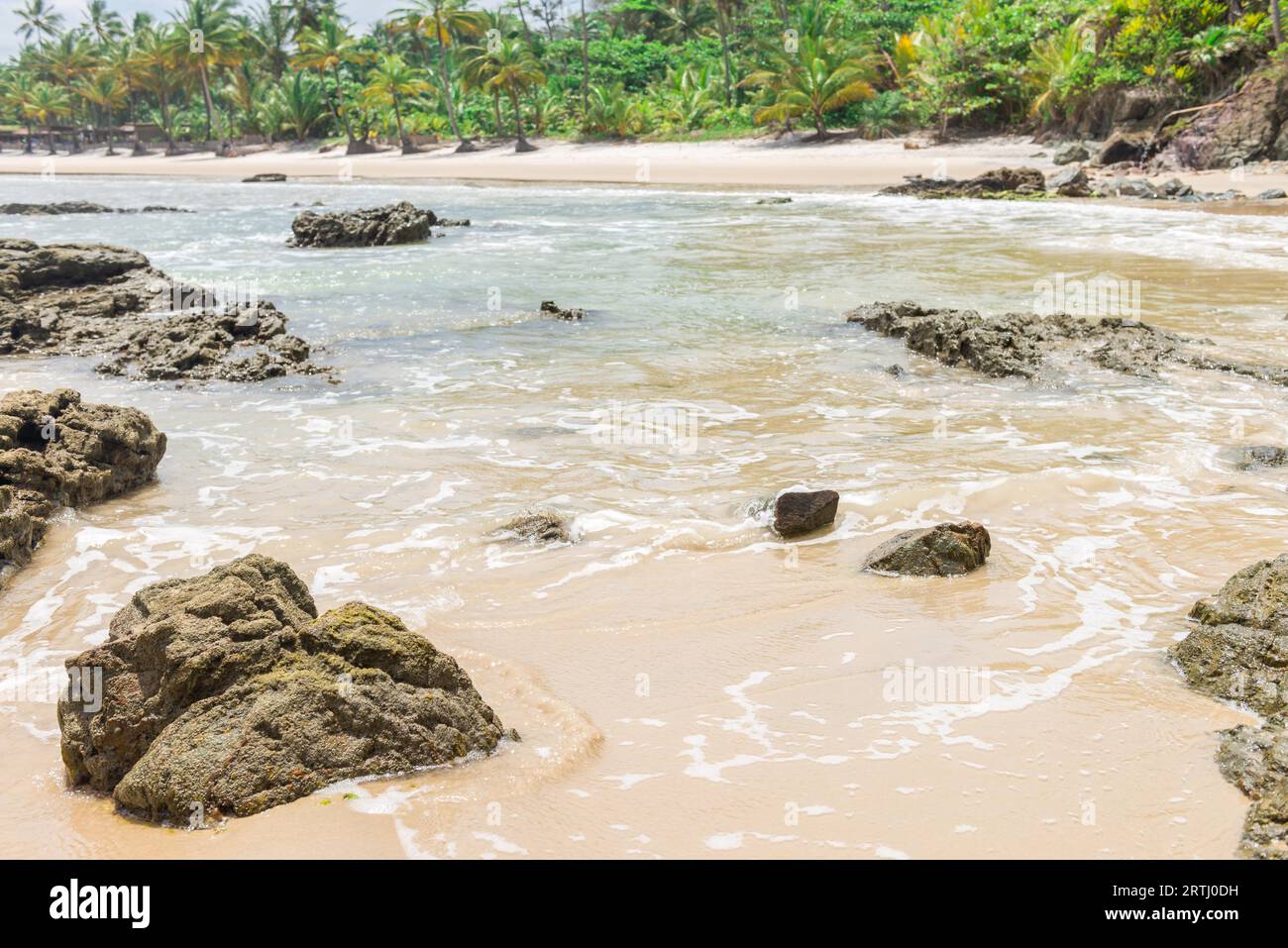 Sunny tropical beach hi-res stock photography and images - Alamy
