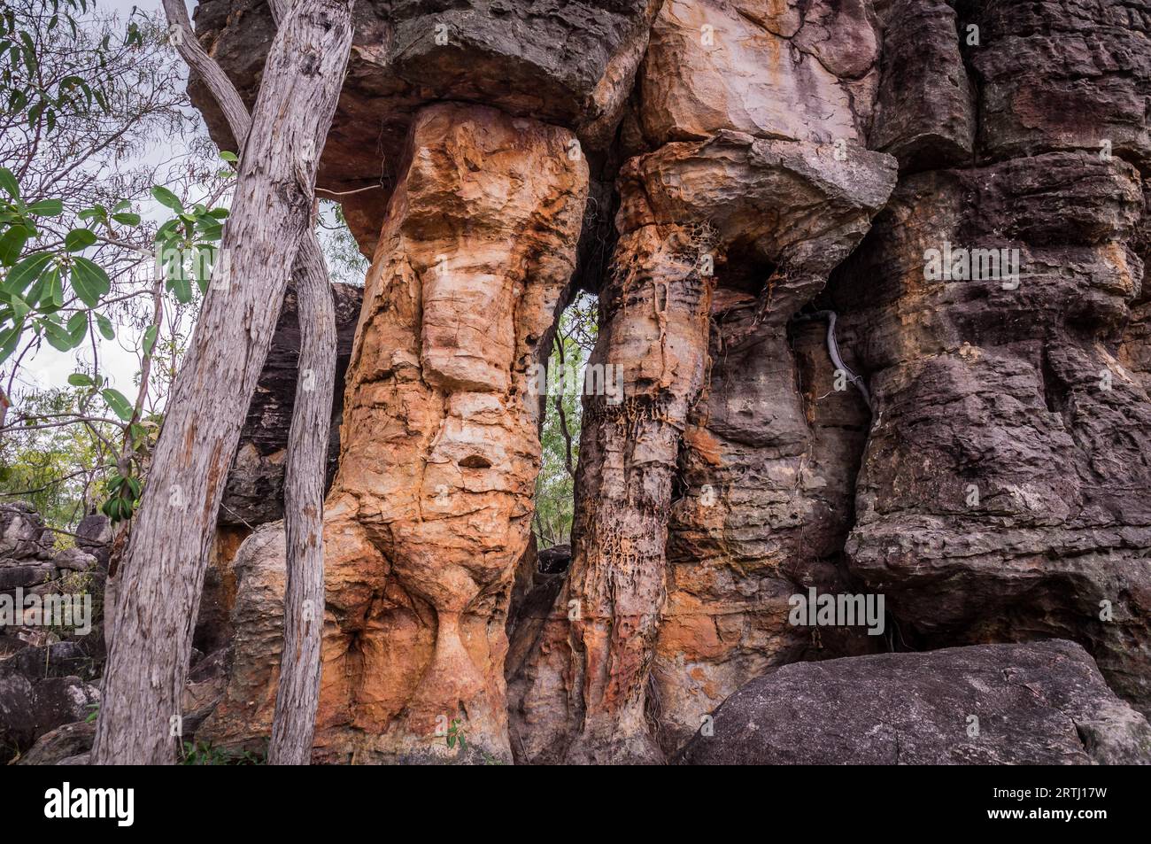 The Lost city rock formations in Litchfield National Park in Australia's Northern Territory falls can only be reached by a 4x4 track Stock Photo