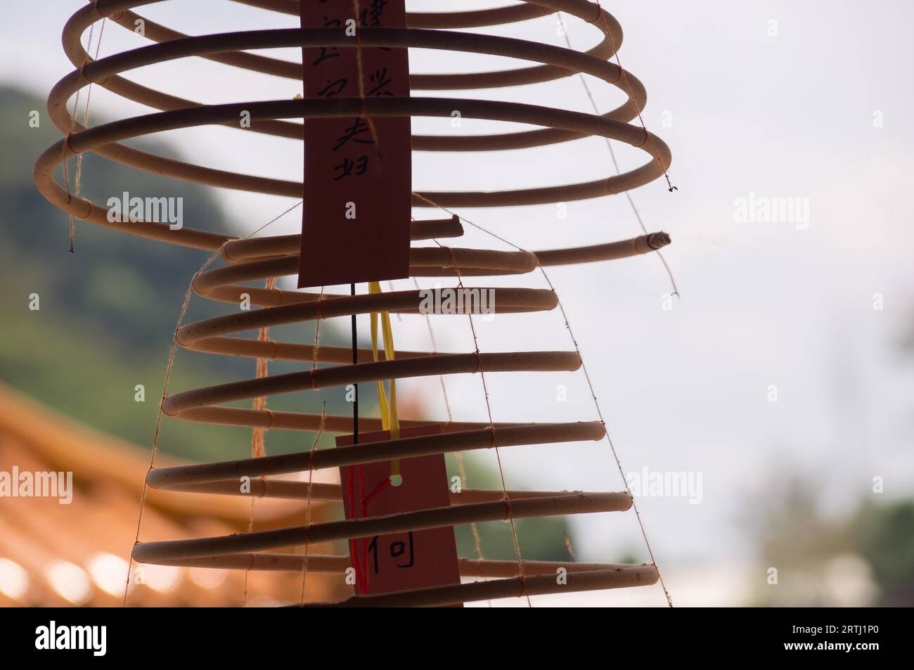 Spiral incenses for prayer in a Buddhist Temple Stock Photo