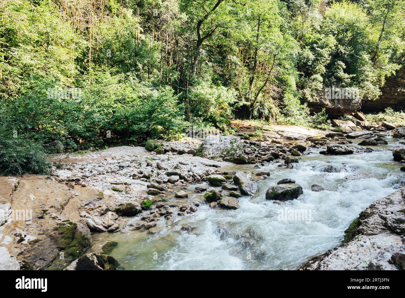 mountain river in the forest among the rocks of the rock and nature ...