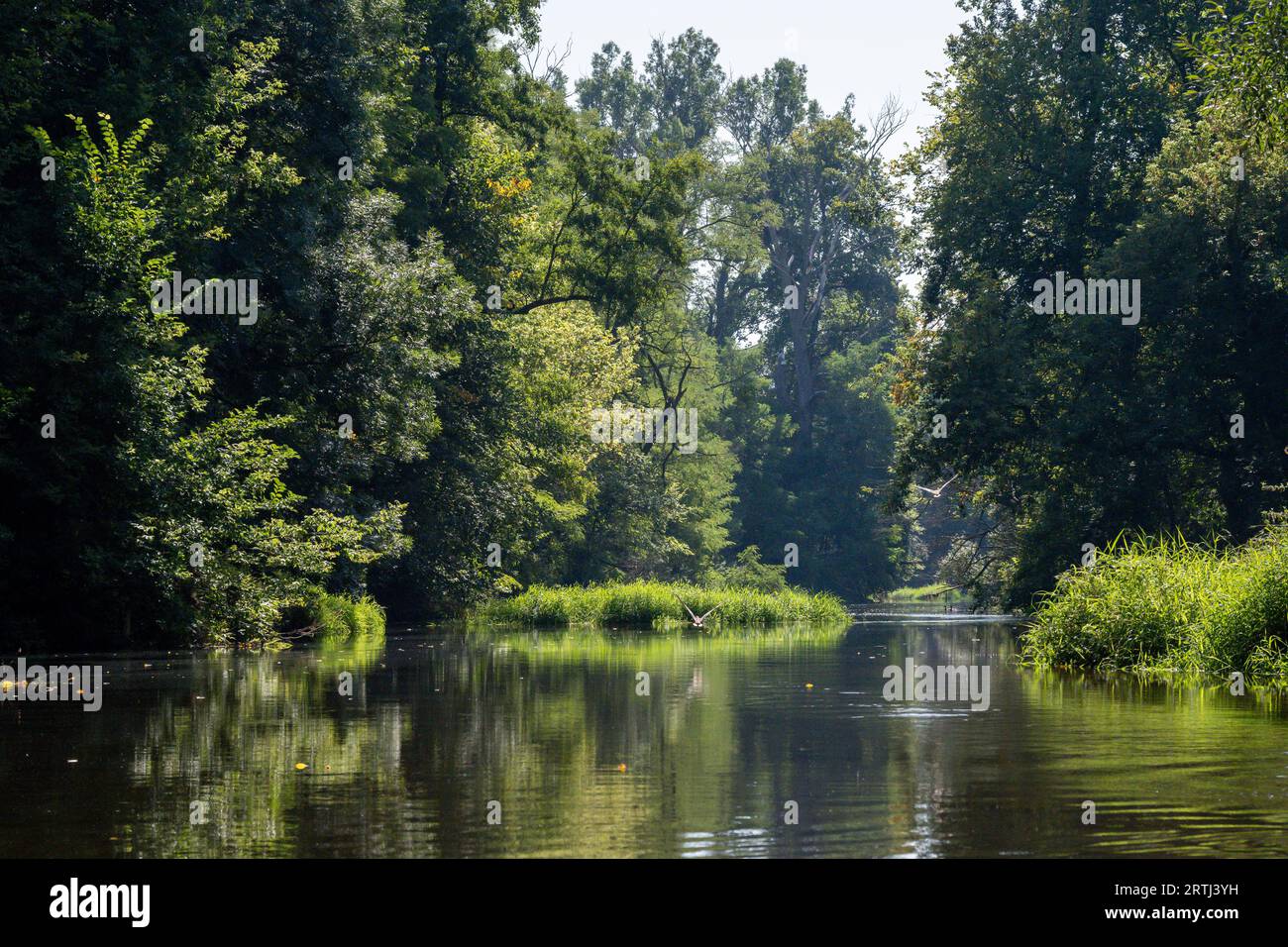 Summer river landscape hi-res stock photography and images - Alamy