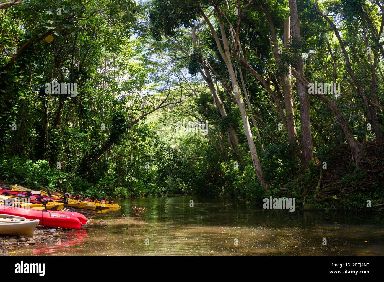 Polynesia canoe paddle hi-res stock photography and images - Alamy