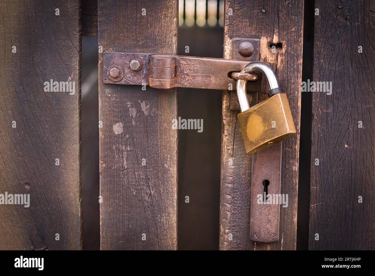 Close up view of a padlock with an old metal hasp and staple on an old wooden door Stock Photo