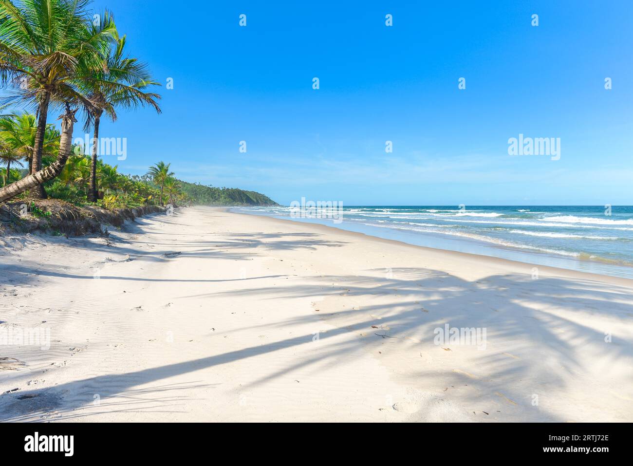 Palm shadow on sandy hi-res stock photography and images - Alamy