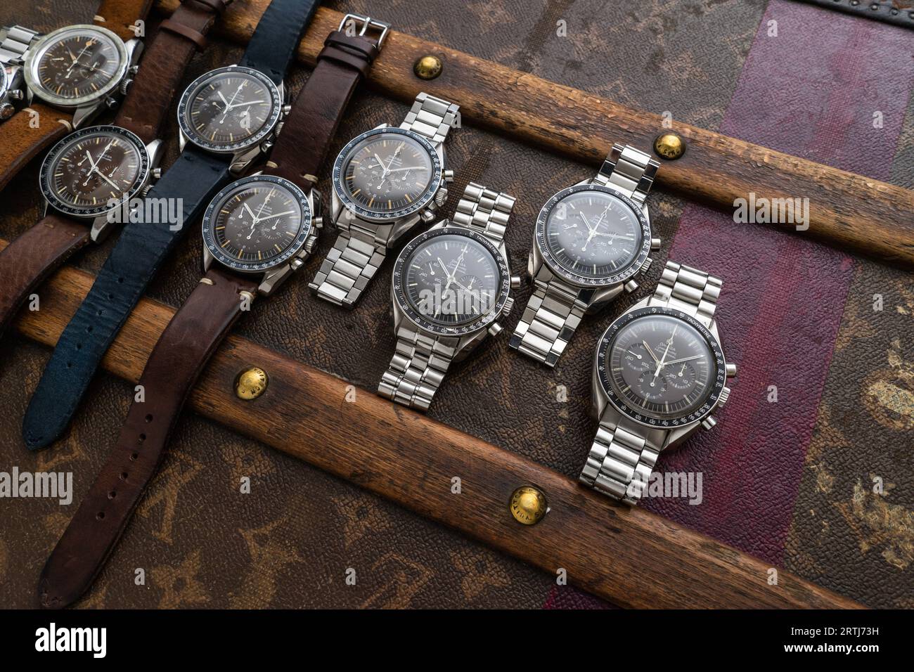 Louis Vuitton Travel Case Vintage Watch Band