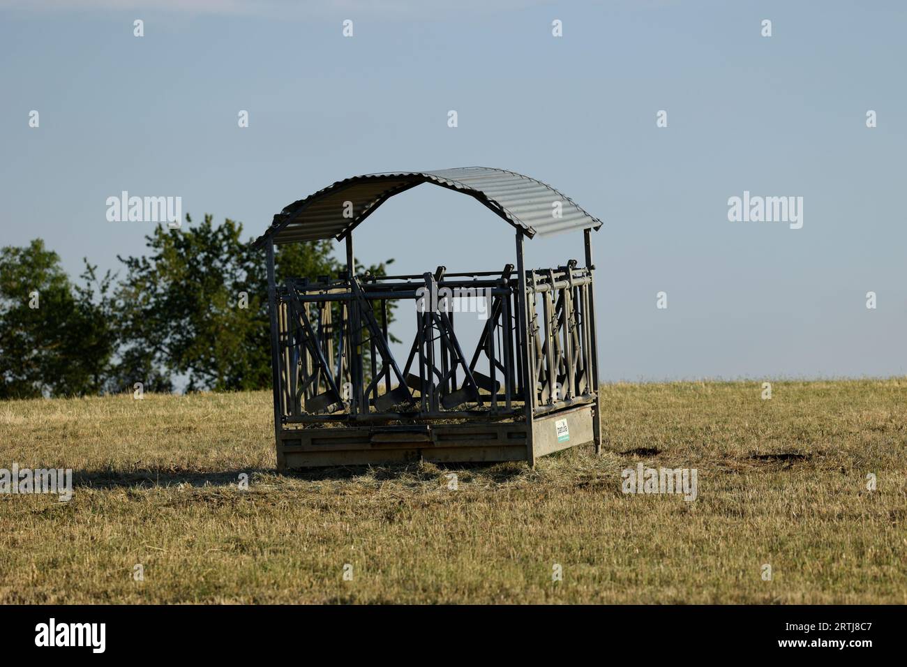 Feeding place for farm animals in a meadow Stock Photo