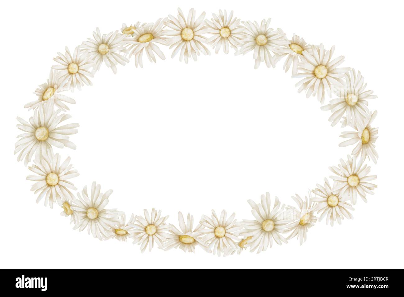 Daisy Wreath. Hand drawn watercolor illustration of round Frame with ...