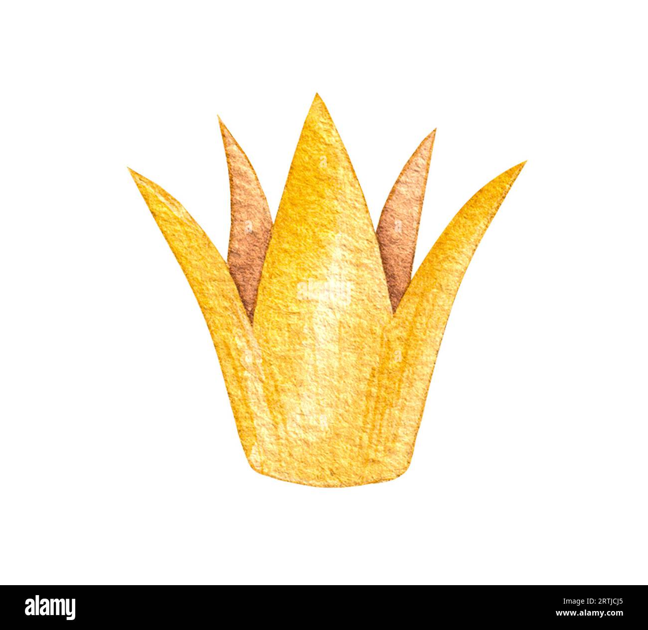 Watercolor queen crown isolated. Princess accessory drawn by hand on a ...