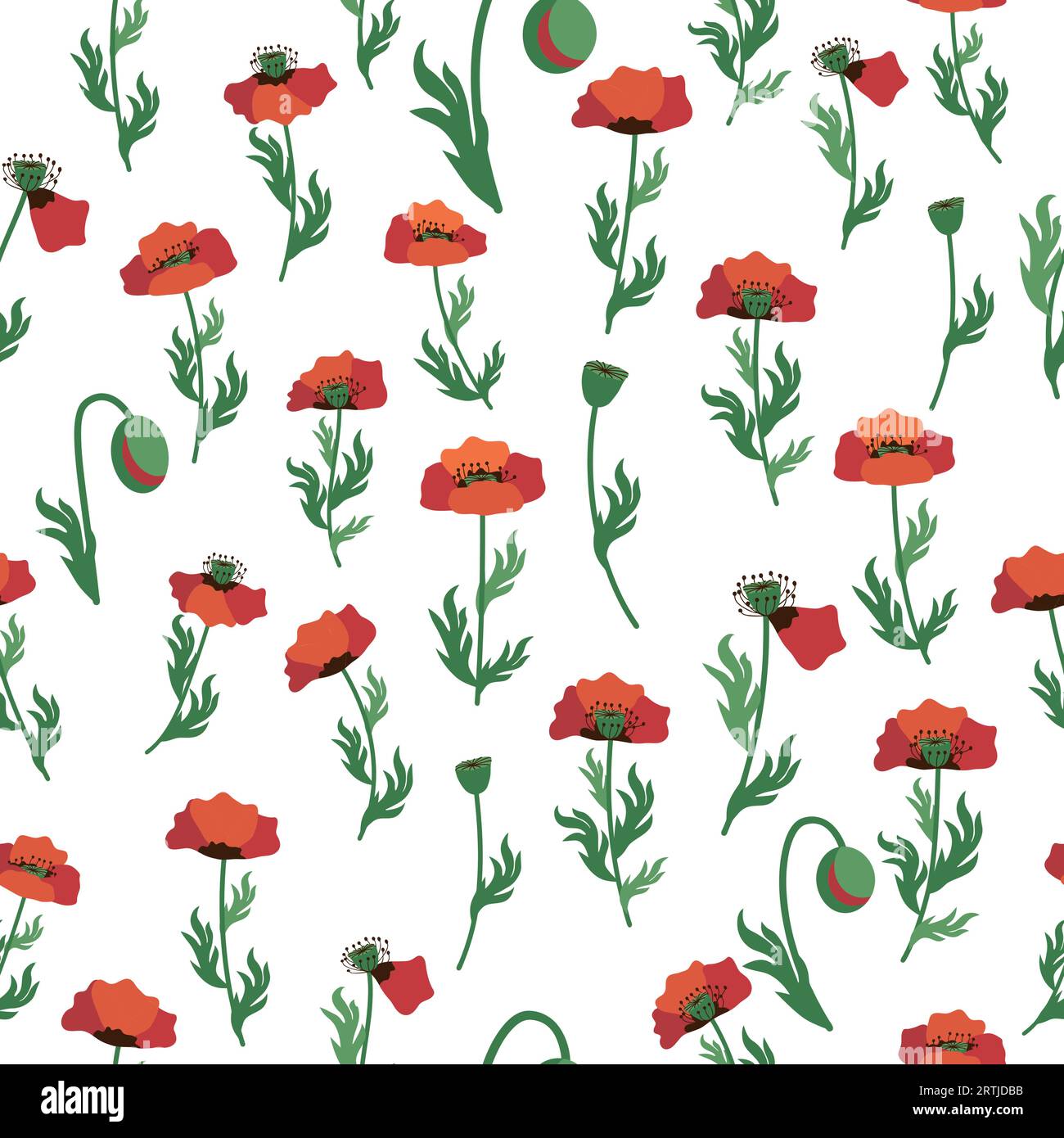 Summer seamless pattern with bright red poppy flowers and poppy pods. Field, meadow of poppies. Stock Vector