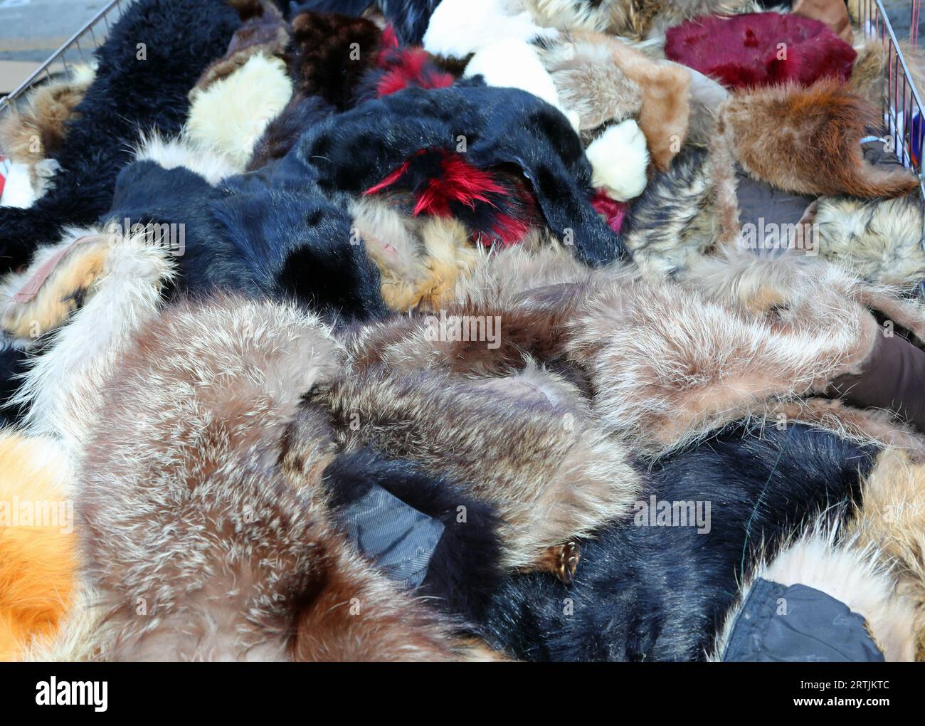 background of scraps of animal fur stoles for sale in the luxury furrier Stock Photo