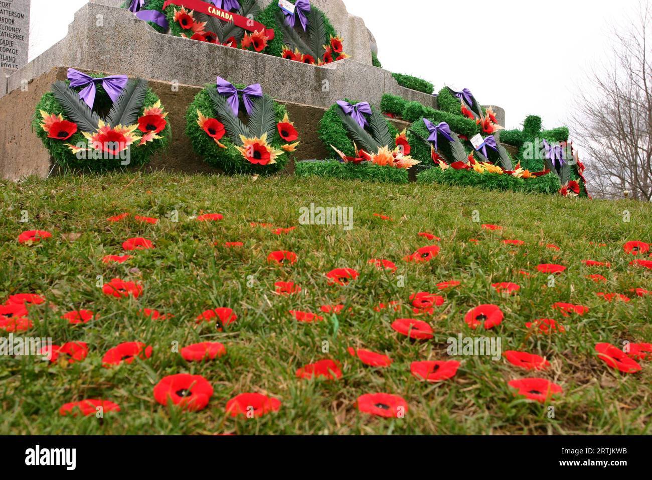 Focus on Wreath, remembrance day, memorial, poppys, Windsor, Nova