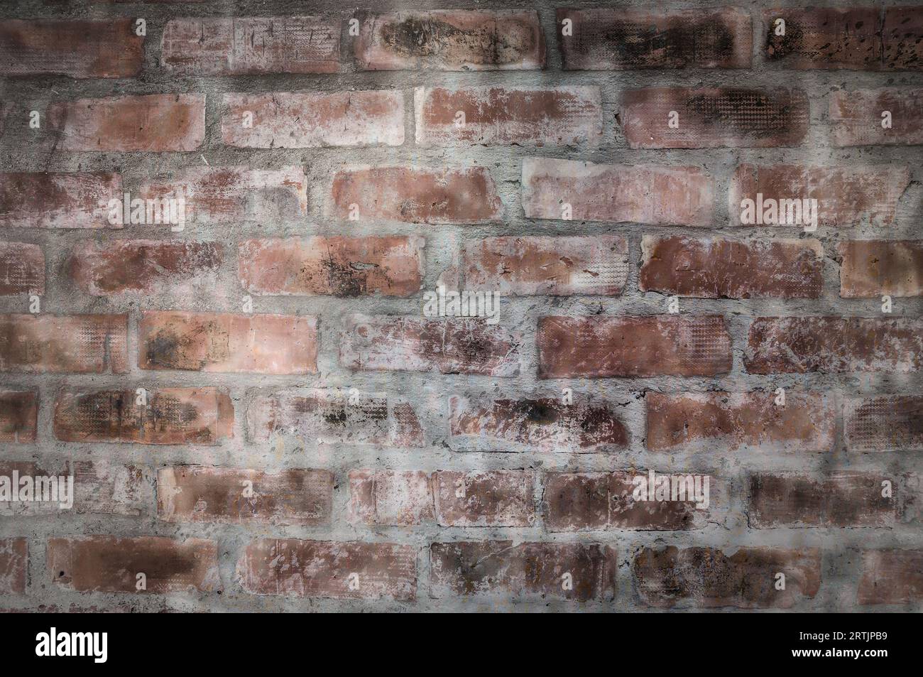 Old brick wall. Nice vintage textured background. Stock Photo