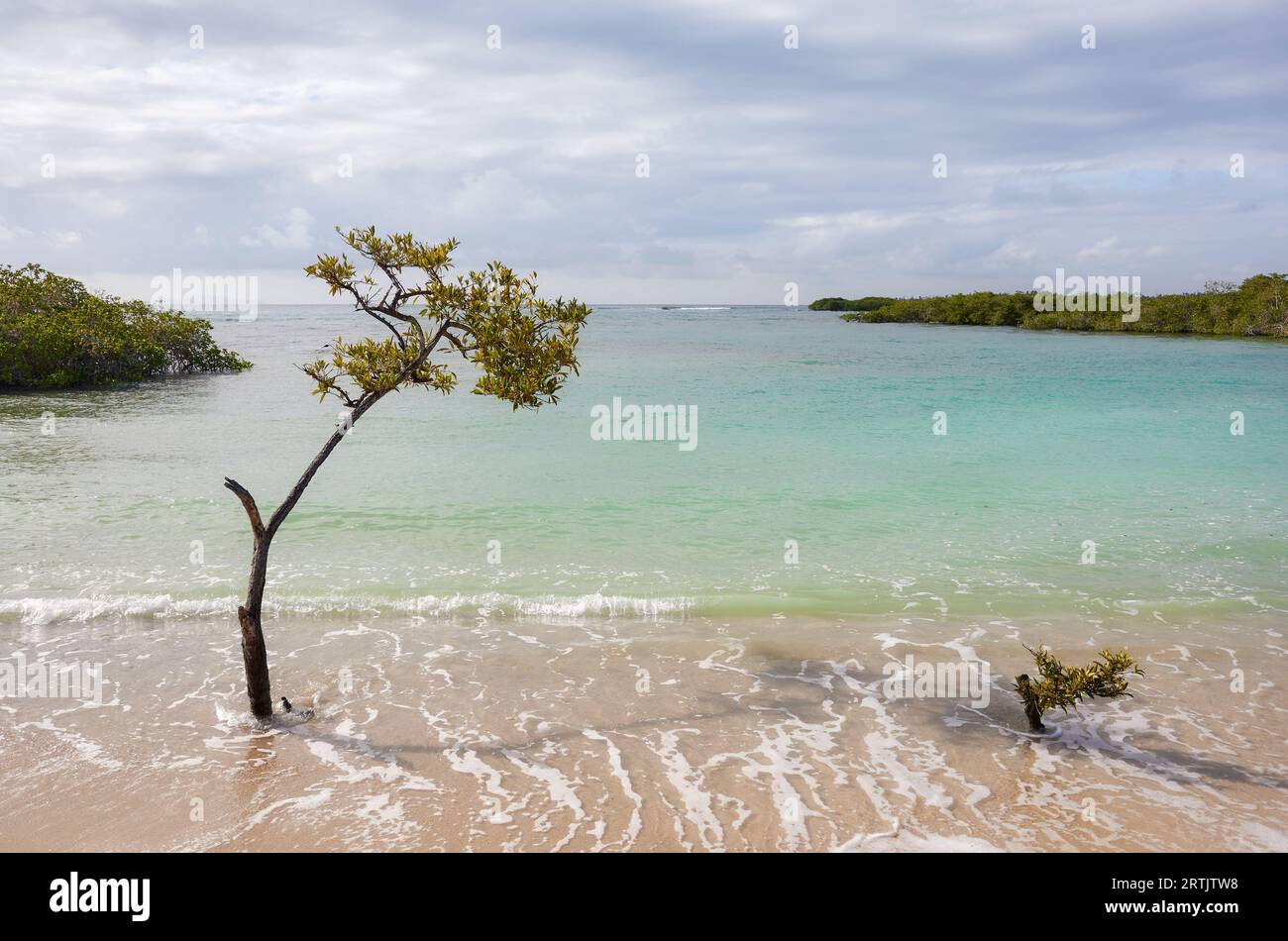 Empty German beach (Playa de los Alemanes) on Santa Cruz Island