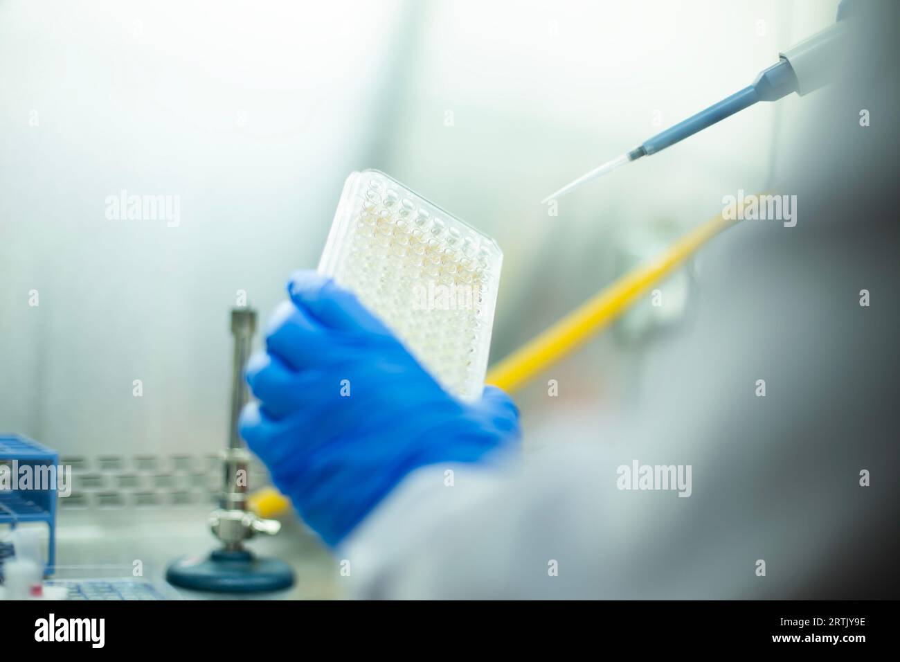 cell culture and microbiology laboratory,  cancer biology Stock Photo