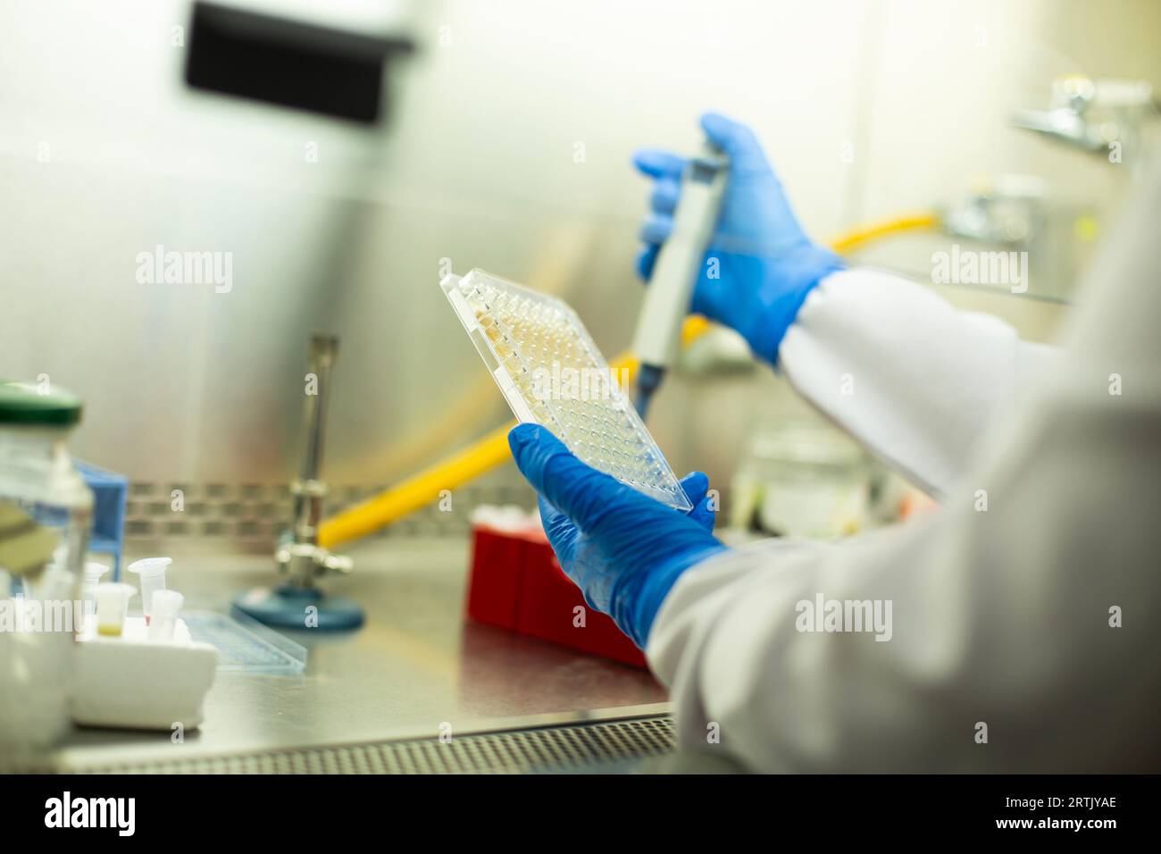 cell culture and microbiology laboratory, cancer biology Stock Photo ...