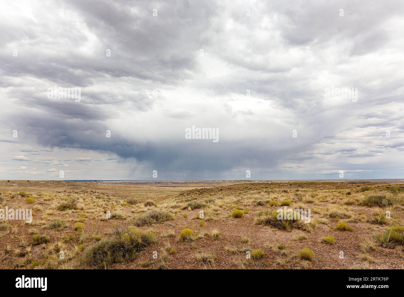 High desert with distant storm clouds, central Arizona near Holbrook, USA Stock Photo
