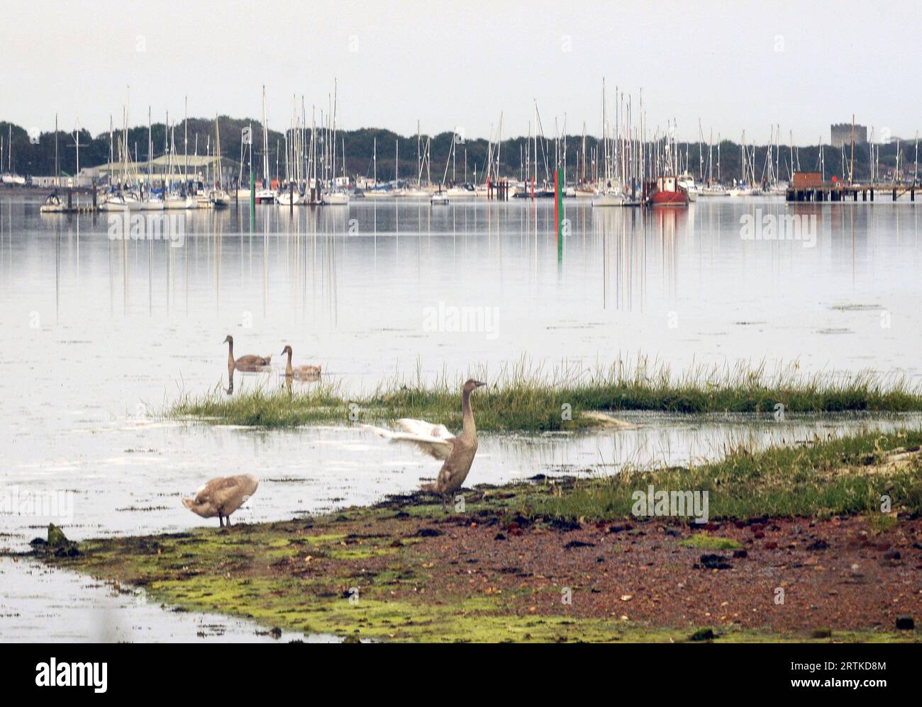 ENGLAND COASTAL PATH,, FAREHAM CREEK, FAREHAM, HANTS. PIC MIKE WALKER