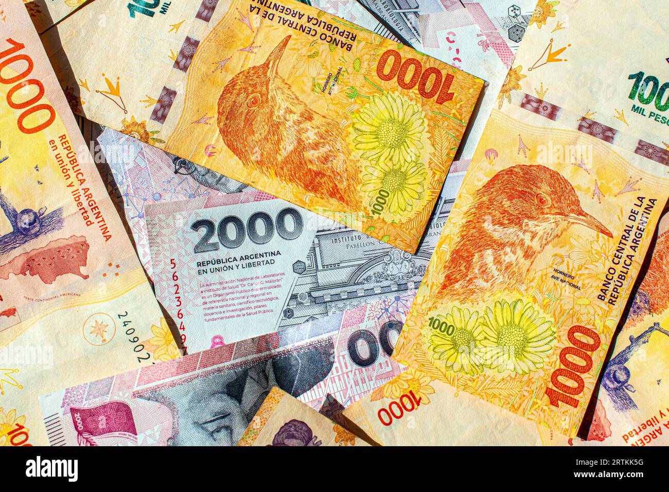 Bills of 1000 and 2000 Argentine pesos in cash, new design (economy
