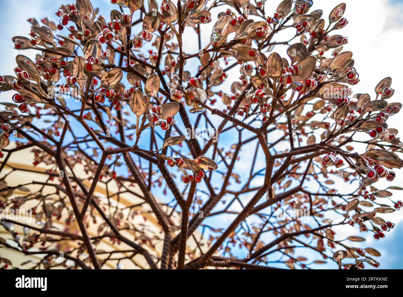 Stillwater, MN, USA June 5, 2022 The Chokecherry Tree Stock Photo
