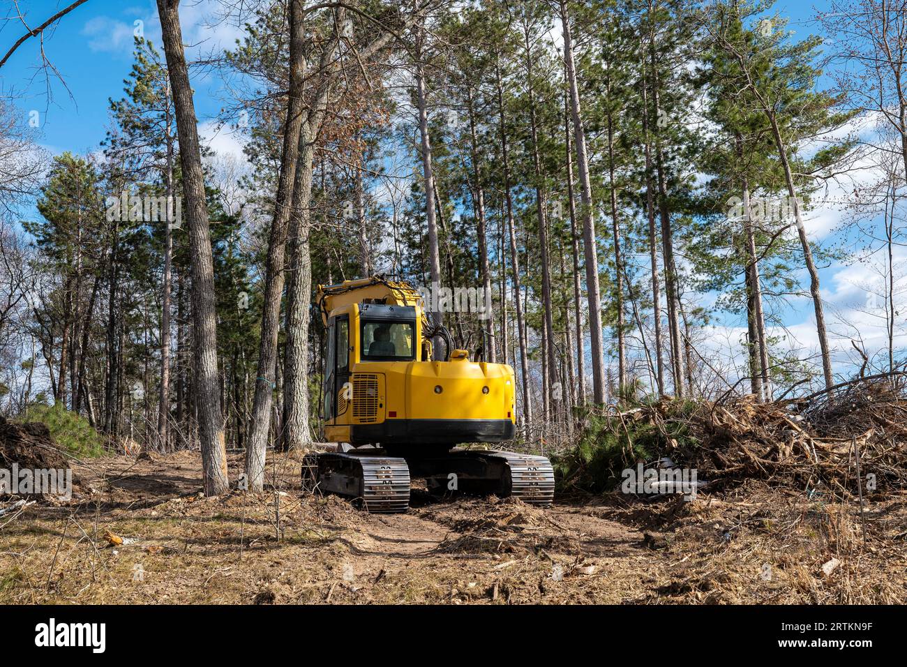 Yellow excavator or digger machine, seen from behind, is clearing trees