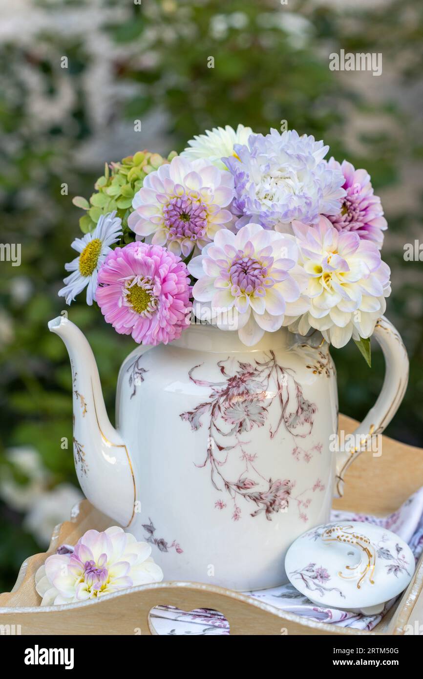 bouquet of white and pink dahlias and asters in vintage coffe can Stock Photo