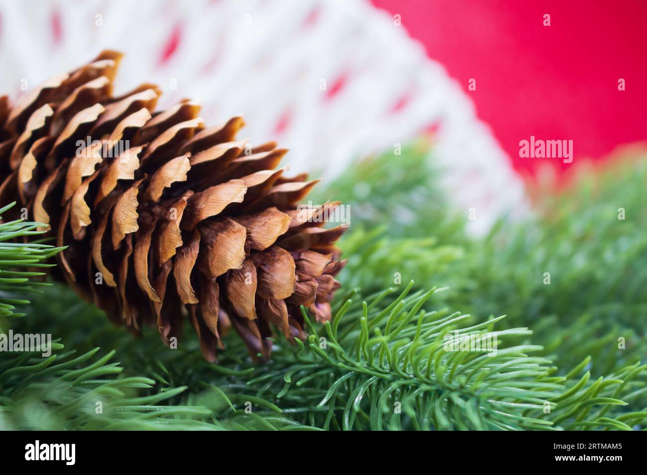 Brown fir cone on spruce branches behind red background with white threads. Christmas, New Year. Copy space Stock Photo