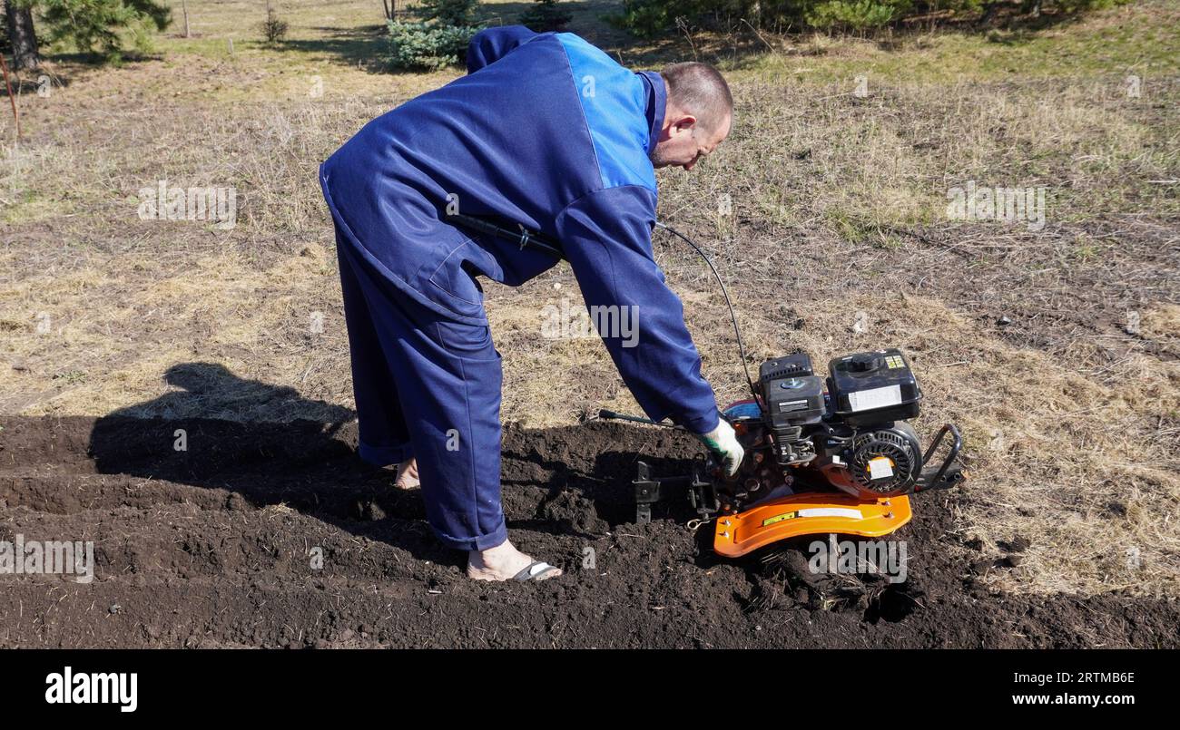 A man works in a vegetable garden in early spring. Digs the ground ...